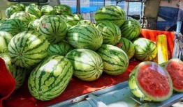 青海网红吃瓜事件真相视频,揭秘背后真相与争议