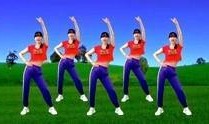 吃瓜视频健身操在线观看,轻松在线塑形健身