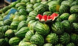 青海网红吃瓜事件真相视频,揭秘背后真相与争议