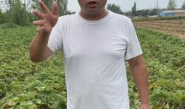 王兴国吃瓜视频全集,揭秘娱乐圈幕后真相