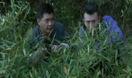 调虎离山吃瓜视频,吃瓜群众见证一场精彩对决