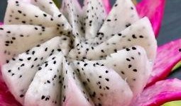 吃哈密瓜水果拼盘视频,色彩缤纷的夏日美味