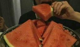 冷门吃瓜哥最新视频,探寻不为人知的幕后故事