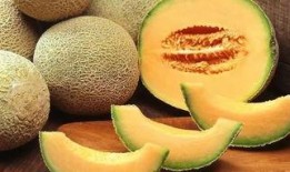 吃哈密瓜操作方法视频大全,视频教程大集合