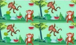 抢瓜吃的视频儿童故事,小孩子们的欢乐时光