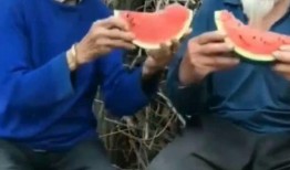 老奶奶说话吃瓜视频大全,趣味横生的老年生活瞬间