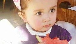 虎东矮娃吃瓜视频,趣味横生一幕幕