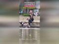 吃瓜群众暴雨视频播放,吃瓜群众捕捉惊险瞬间