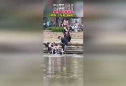 吃瓜群众暴雨视频播放,吃瓜群众捕捉惊险瞬间