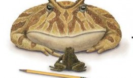 可爱搞怪吃瓜恐龙视频大全,趣味横生！搞笑恐龙吃瓜视频大盘点