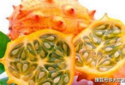 农村小孩吃刺角瓜视频,趣味盎然体验农家乐趣