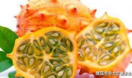 农村小孩吃刺角瓜视频,趣味盎然体验农家乐趣