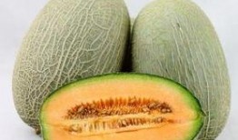 广东吃哈密瓜视频,哈密瓜视频大赏