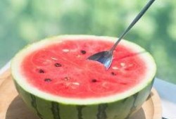 西瓜美食吃瓜视频