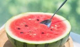 西瓜美食吃瓜视频