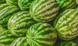 木木吃瓜视频在哪,热门话题背后的精彩瞬间