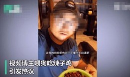 吃瓜预言博主视频大全