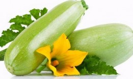 吃茭瓜的营养价值高吗视频,高价值蔬菜的健康益处