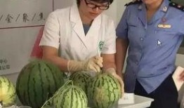 吃瓜群众最新试验视频