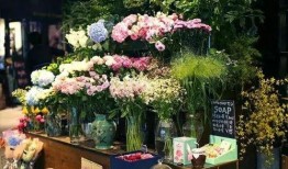 河北花店吃瓜视频,一场意外的“瓜界盛宴”