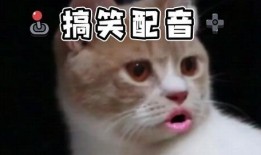 吃瓜沙雕搞笑视频大全集,带你领略欢乐无限