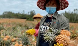 海南人吃瓜撒盐视频大全,吃瓜撒盐，解锁夏日美味新姿势