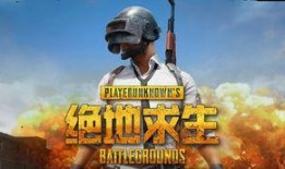 吃鸡呆瓜穿搭视频大全,呆瓜穿搭视频大全，解锁时尚与趣味并存的新潮流