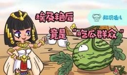 吃瓜群众必备视频素材,轻松成为热门话题制造者