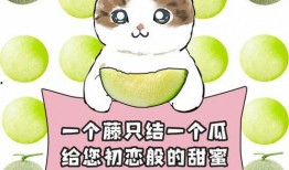 每日吃瓜大赛高清视频,高清视频揭秘精彩瞬间