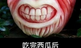 吃瓜科普知识视频,跟随视频一起探索