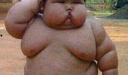 小胖墩吃瓜原视频全集,全程搞笑，揭秘瓜界奇闻轶事