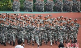 吃瓜大学生军训晚会视频,吃瓜大学生共度欢乐时光