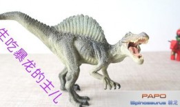 棘龙吃瓜视频完整版,揭秘史前巨兽的悠闲午后时光