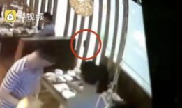 吃瓜挨打视频,网络暴力现象引发关注