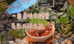 迷你厨房吃瓜视频大全集,趣味视频大全集回顾