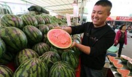 昌乐吃瓜事件视频播放下载,视频播放下载背后的热议与真相