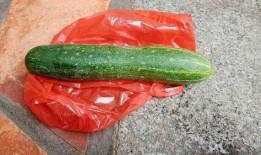 发吃瓜视频可以带什么货,揭秘热门带货新趋势