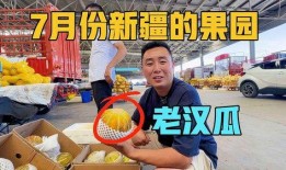 老外媳妇吃新疆老汉瓜视频,感受地道新疆风情