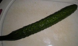 鱼线瓜怎么吃最好吃视频,视频教你如何吃出最佳口感