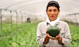 日本农民吃瓜视频,传统农耕生活趣味横生