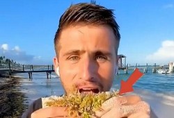 吃小瓜的搞笑配音视频,搞笑配音视频带你欢乐一夏