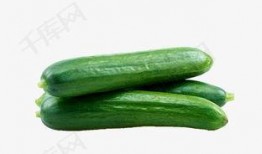 爆款免费吃瓜视频,揭秘爆款视频背后的秘密