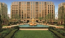 绿城销售吃瓜事件视频最新,揭秘背后真相与行业反思